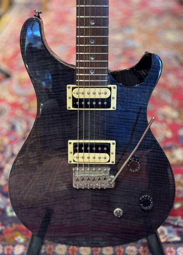 PRS SE Custom