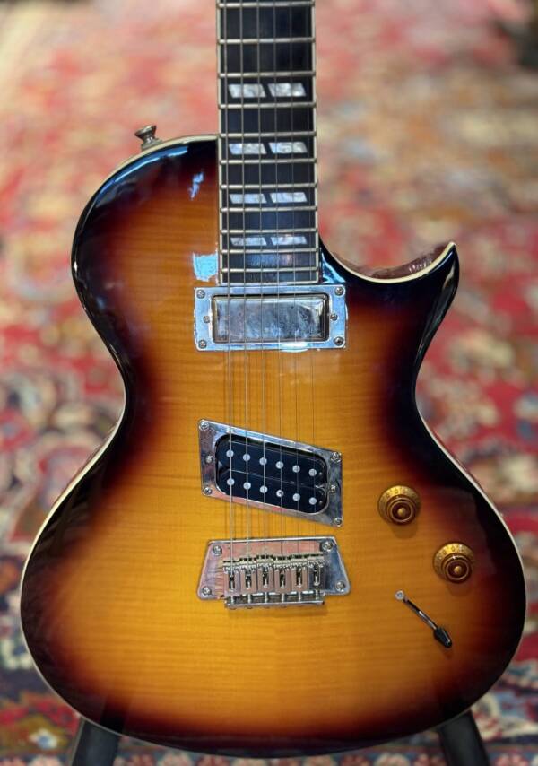 Epiphone Nancy Wilson Fanatic