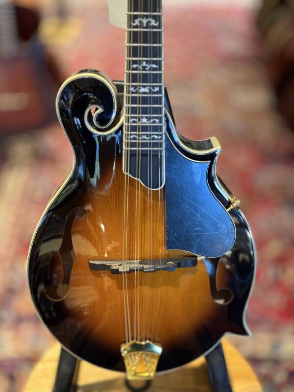 Gold Tone GM-70+ NEW