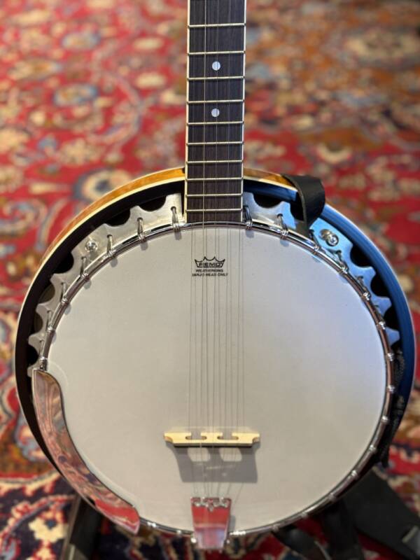 Washburn B9 Banjo